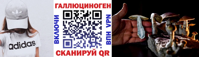 Псилоцибиновые грибы GOLDEN TEACHER  hydra зеркало  Вышний Волочёк 